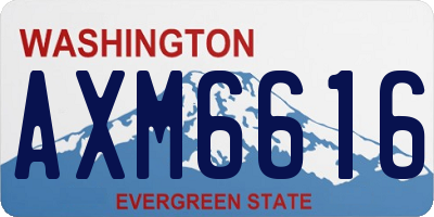 WA license plate AXM6616