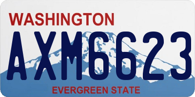 WA license plate AXM6623