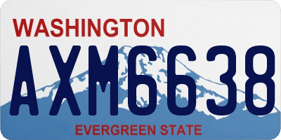 WA license plate AXM6638