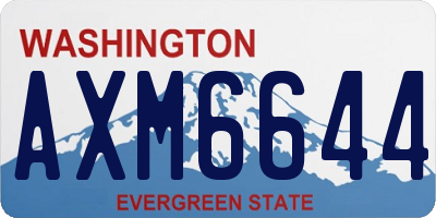 WA license plate AXM6644