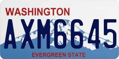 WA license plate AXM6645