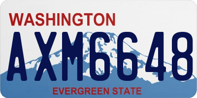 WA license plate AXM6648