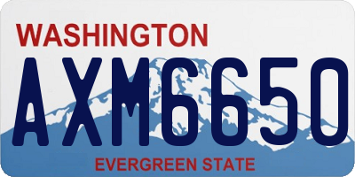 WA license plate AXM6650