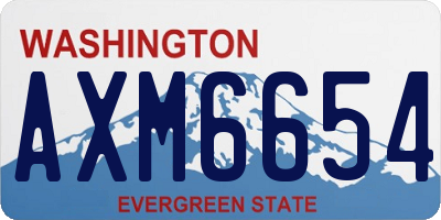 WA license plate AXM6654