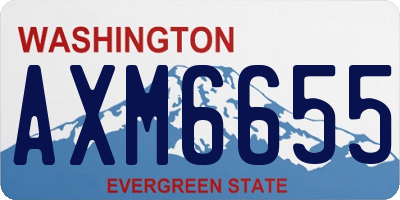 WA license plate AXM6655