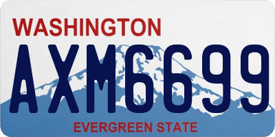 WA license plate AXM6699
