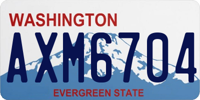 WA license plate AXM6704