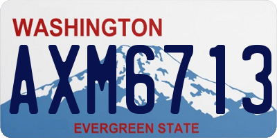 WA license plate AXM6713