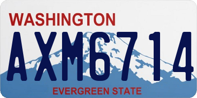WA license plate AXM6714