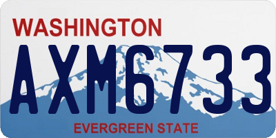 WA license plate AXM6733