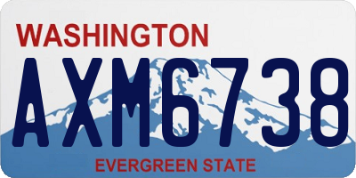 WA license plate AXM6738