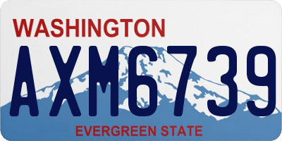 WA license plate AXM6739