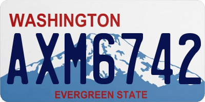 WA license plate AXM6742