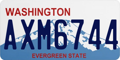 WA license plate AXM6744