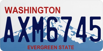 WA license plate AXM6745