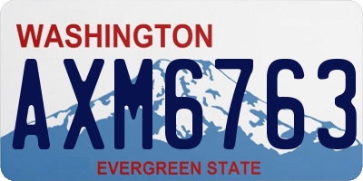 WA license plate AXM6763
