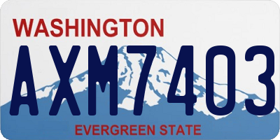 WA license plate AXM7403