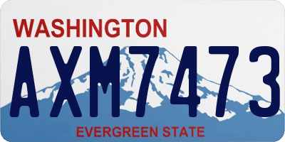 WA license plate AXM7473