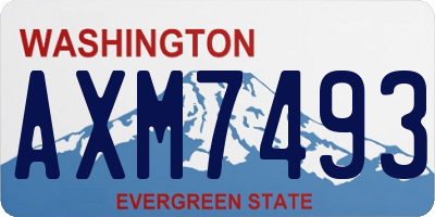 WA license plate AXM7493