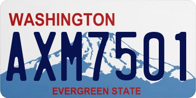 WA license plate AXM7501