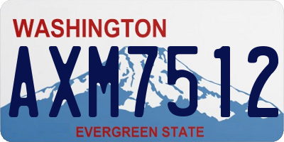 WA license plate AXM7512