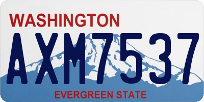 WA license plate AXM7537
