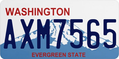 WA license plate AXM7565