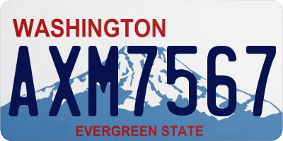 WA license plate AXM7567