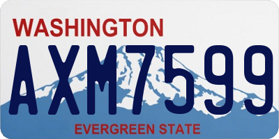 WA license plate AXM7599