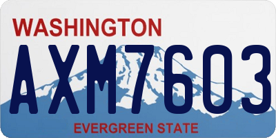 WA license plate AXM7603
