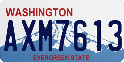 WA license plate AXM7613