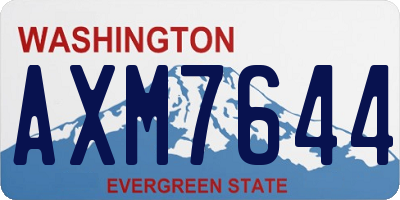 WA license plate AXM7644