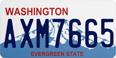 WA license plate AXM7665