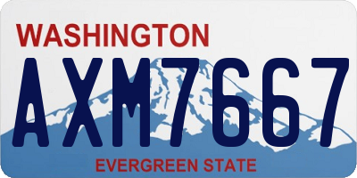 WA license plate AXM7667
