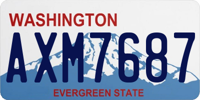 WA license plate AXM7687