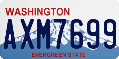 WA license plate AXM7699