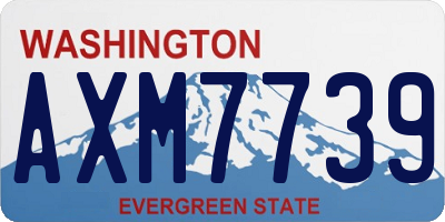 WA license plate AXM7739