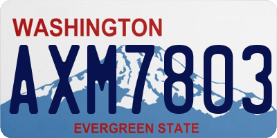 WA license plate AXM7803