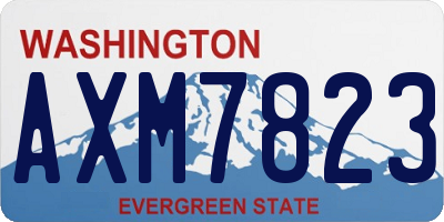 WA license plate AXM7823
