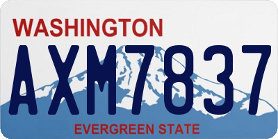 WA license plate AXM7837