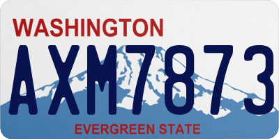 WA license plate AXM7873