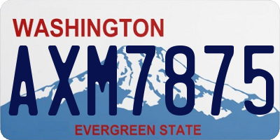 WA license plate AXM7875