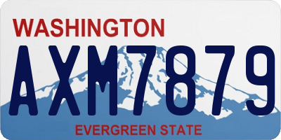 WA license plate AXM7879