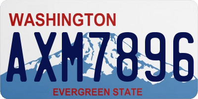 WA license plate AXM7896