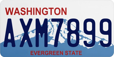 WA license plate AXM7899