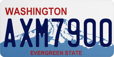 WA license plate AXM7900