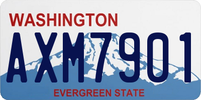 WA license plate AXM7901