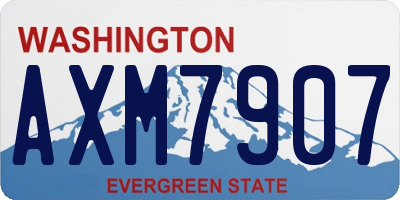 WA license plate AXM7907