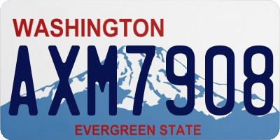 WA license plate AXM7908
