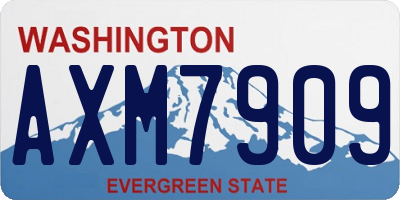 WA license plate AXM7909